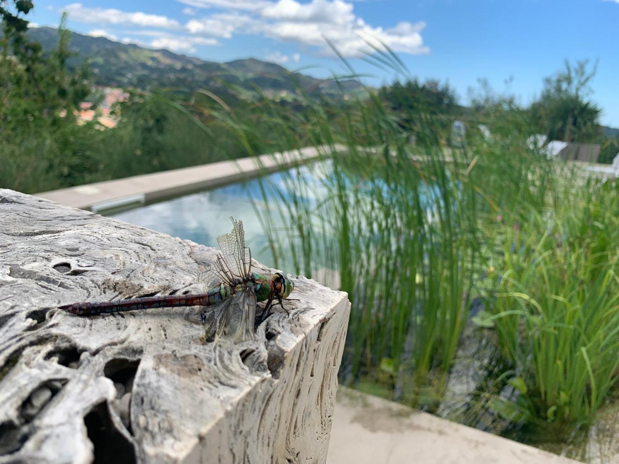 Villa Fortezza Antique Rooms Ascoli Piceno Exterior foto