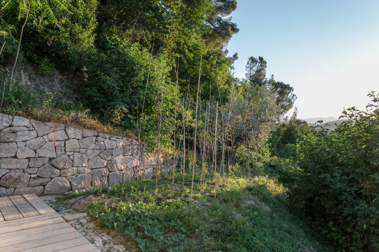 Villa Fortezza Antique Rooms Ascoli Piceno Exterior foto